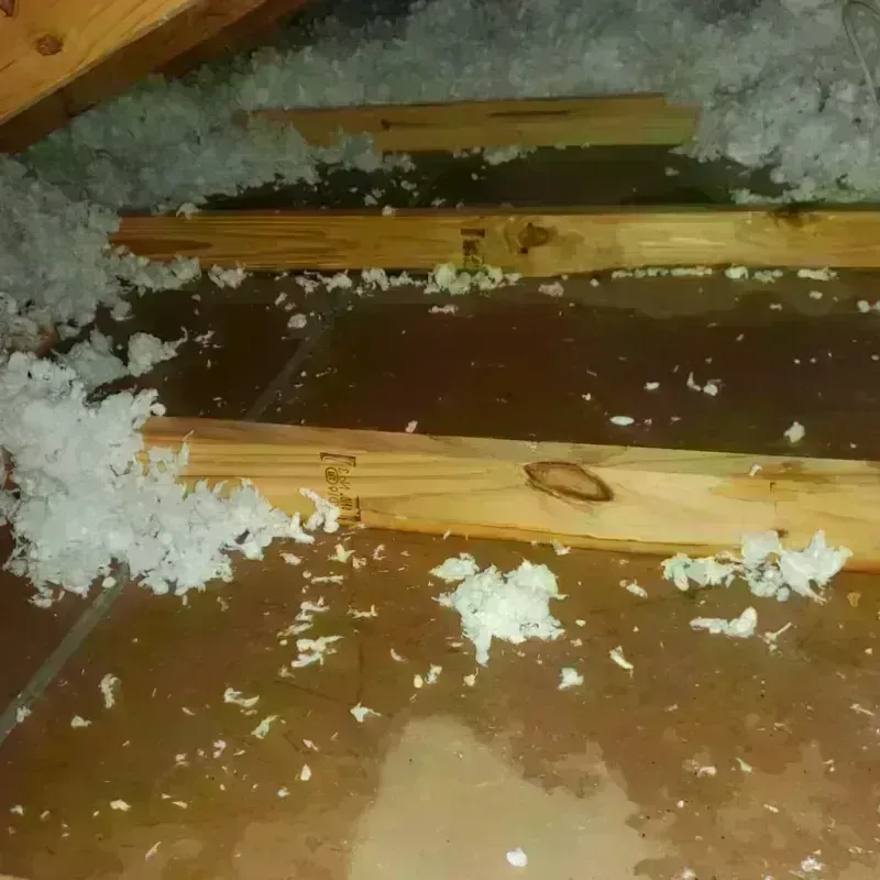 Attic Water Damage in Fisher County, TX