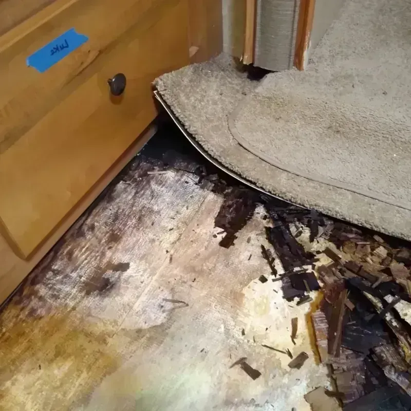 Wood Floor Water Damage in Fisher County, TX